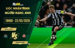 fb88-soi kèo Newcastle vs Sunderland
