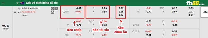 fb88-bảng kèo trận đấu Adelaide vs Auckland