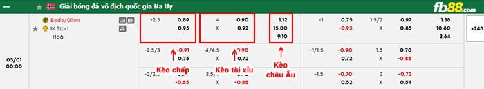 fb88-bảng kèo trận đấu Bodo Glimt vs Start