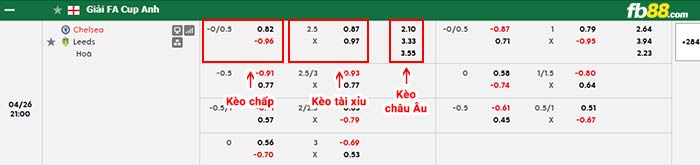 fb88-bảng kèo trận đấu Chelsea vs Leeds