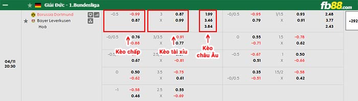fb88-bảng kèo trận đấu Dortmund vs Leverkusen
