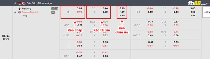 fb88-bảng kèo trận đấu Freiburg vs Bayern Munich