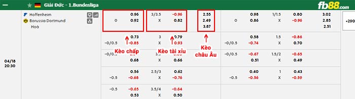 fb88-bảng kèo trận đấu Hoffenheim vs Dortmund
