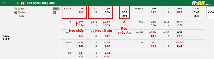 fb88-bảng kèo trận đấu Leeds vs Wolves