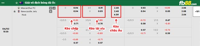 fb88-bảng kèo trận đấu Macarthur vs Newcastle Jets