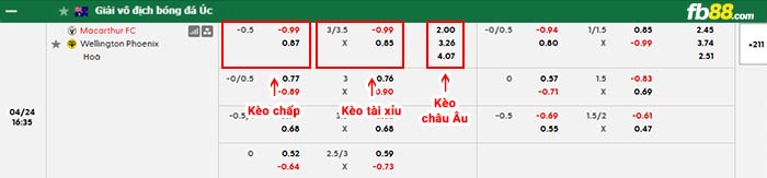 fb88-bảng kèo trận đấu Macarthur vs Wellington Phoenix