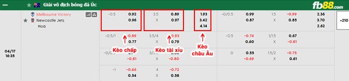 fb88-bảng kèo trận đấu Melbourne Victory vs Newcastle Jets