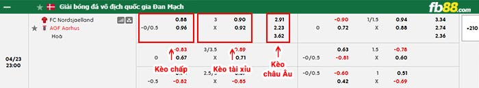 fb88-bảng kèo trận đấu Nordsjaelland vs Aarhus