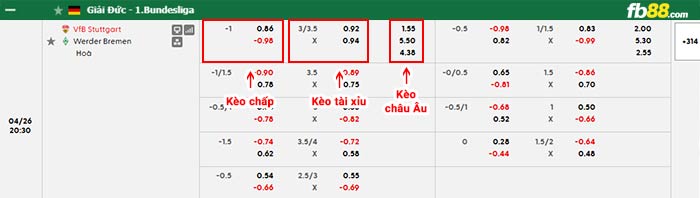fb88-bảng kèo trận đấu Stuttgart vs Werder Bremen