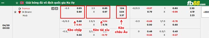 fb88-bảng kèo trận đấu Tromso vs Brann