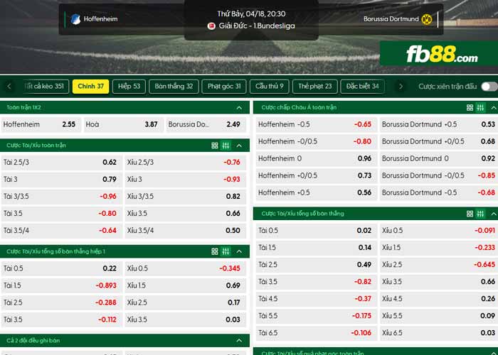 fb88-chi tiết kèo trận đấu Hoffenheim vs Dortmund
