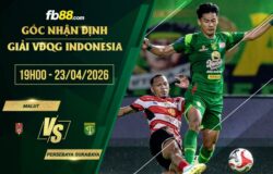 fb88-soi kèo Malut vs Persebaya Surabaya