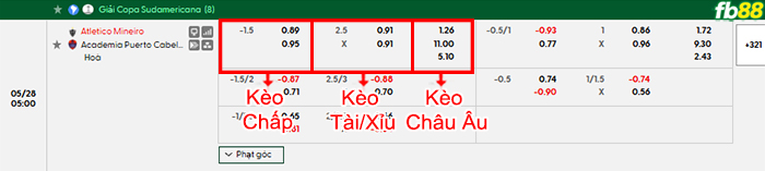 fb88-bang-keo-tran-dau-Atletico-Mineiro-vs-Academia-Puerto-28-05-2026