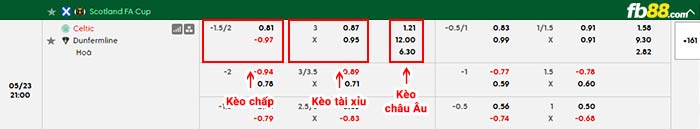 fb88-bảng kèo trận đấu Celtic vs Dunfermline