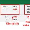 fb88-bảng kèo trận đấu Gambia vs Iran