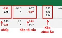 fb88-bảng kèo trận đấu Gambia vs Iran