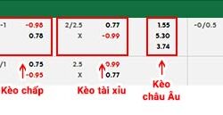 fb88-bảng kèo trận đấu Gambia vs Iran