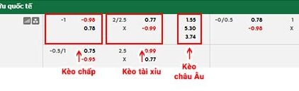 fb88-bảng kèo trận đấu Gambia vs Iran