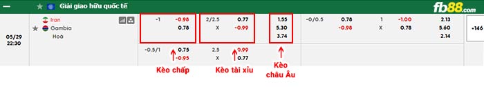 fb88-bảng kèo trận đấu Gambia vs Iran