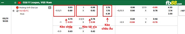 fb88-bảng kèo trận đấu Hoàng Anh Gia Lai vs Hà Nội