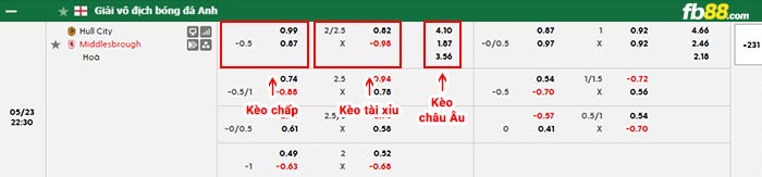 fb88-bảng kèo trận đấu Hull City vs Middlesbrough
