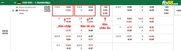 fb88-bảng kèo trận đấu Leverkusen vs Hamburger