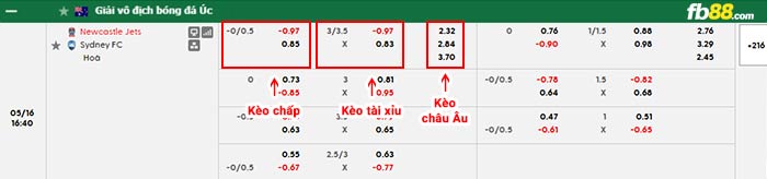 fb88-bảng kèo trận đấu Newcastle Jets vs Sydney