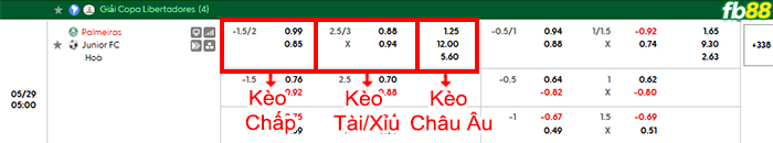 fb88-bang-keo-tran-dau-Palmeiras-vs-Junior-FC-29-05-2026