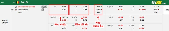 fb88-bảng kèo trận đấu Saint-Gilloise vs Anderlecht