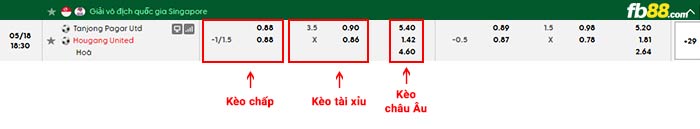fb88-bảng kèo trận đấu Tanjong Pagar vs Hougang
