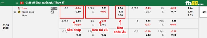fb88-bảng kèo trận đấu Thun vs Young Boys