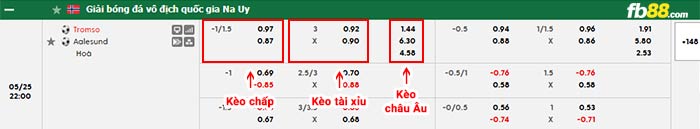 fb88-bảng kèo trận đấu Tromso vs Aalesunds