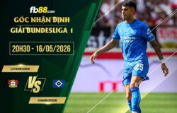 fb88-soi kèo Leverkusen vs Hamburger