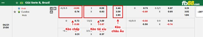 fb88-bảng kèo trận đấu Avai FC vs Cuiaba
