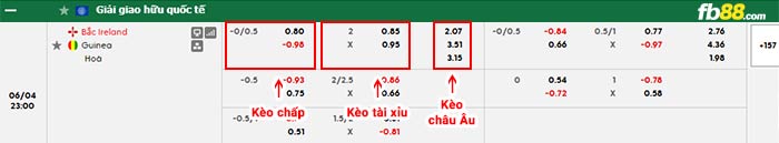 fb88-bảng kèo trận đấu Bắc Ireland vs Guinea