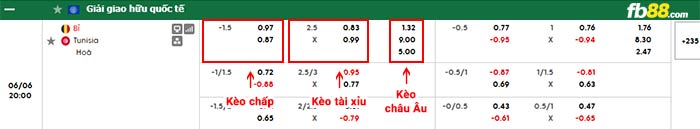 fb88-bảng kèo trận đấu Bỉ vs Tunisia
