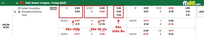 fb88-bảng kèo trận đấu Dalian Young Boy vs Shanghai ShenHua