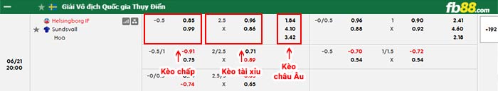 fb88-bảng kèo trận đấu Helsingborgs vs Sundsvall