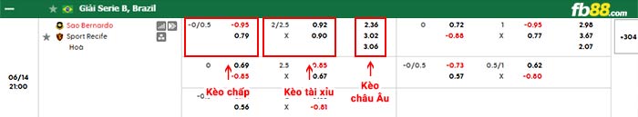 fb88-bảng kèo trận đấu Sao Bernardo vs Recife