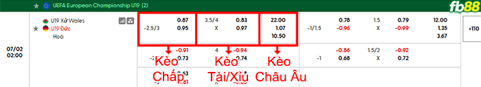 fb88-bang-keo-tran-dau-U19-Wales-vs-U19-Duc-02-07-2026