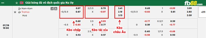 fb88-bảng kèo trận đấu HamKam vs Tromso