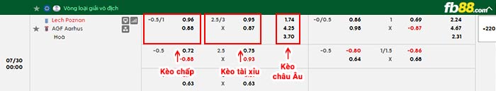 fb88-bảng kèo trận đấu Lech Poznan vs Aarhus