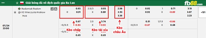 fb88-bảng kèo trận đấu Radomiak Radom vs Wieczysta Krakow