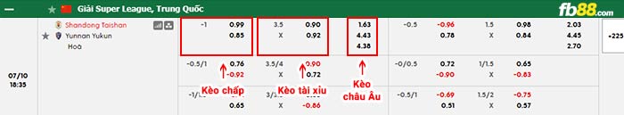fb88-bảng kèo trận đấu Shandong Taishan vs Yunnan Yukun