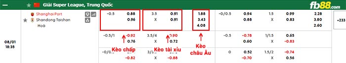 fb88-bảng kèo trận đấu Shanghai Port vs Shandong Taishan