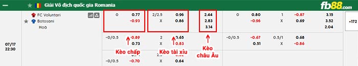 fb88-bảng kèo trận đấu Voluntari vs Botosani