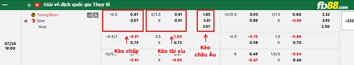 fb88-bảng kèo trận đấu Young Boys vs Sion