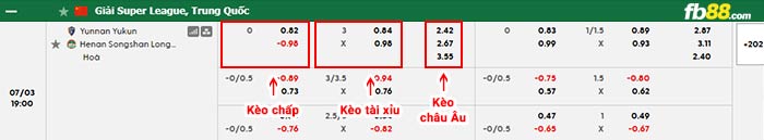 fb88-bảng kèo trận đấu Yunnan Yukun vs Henan