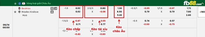 fb88-bảng kèo trận đấu Besiktas vs Hradec Kralove