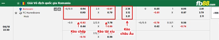 fb88-bảng kèo trận đấu Botosani vs Corvinul Hunedoara